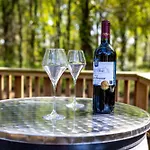 ôtonneauxstress - Vigneron Appartement *