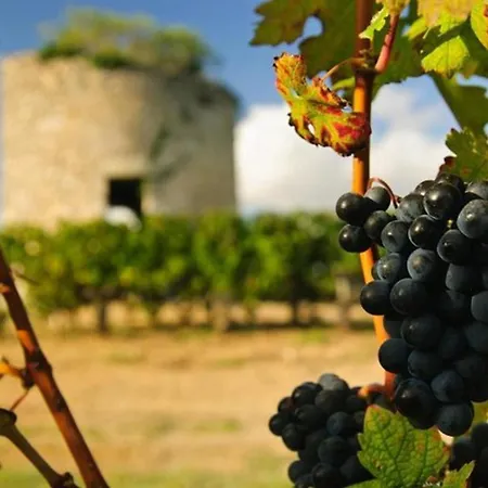 Apartament Otonneauxstress - Vigneron