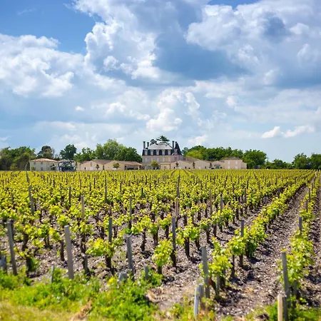 Otonneauxstress - Vigneron Saint-Vivien-de-Médoc