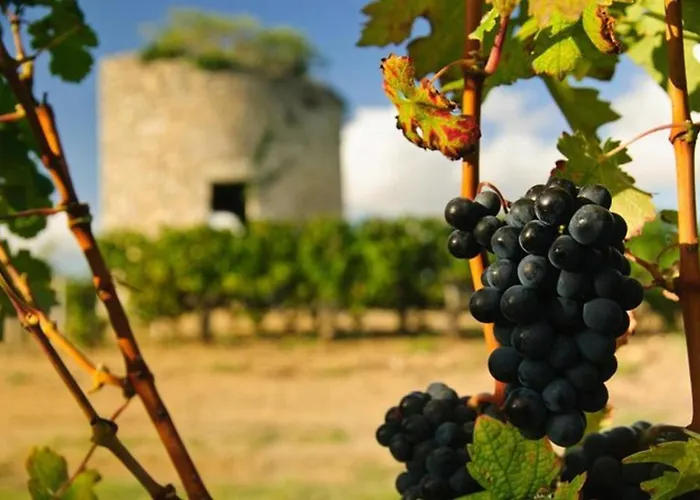 Otonneauxstress - Vigneron アパート *